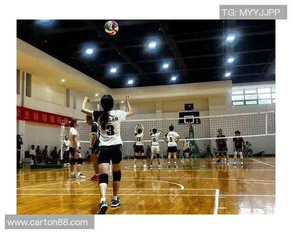 西安排球队成长之路:一段排球精神与团队合作的真实纪实